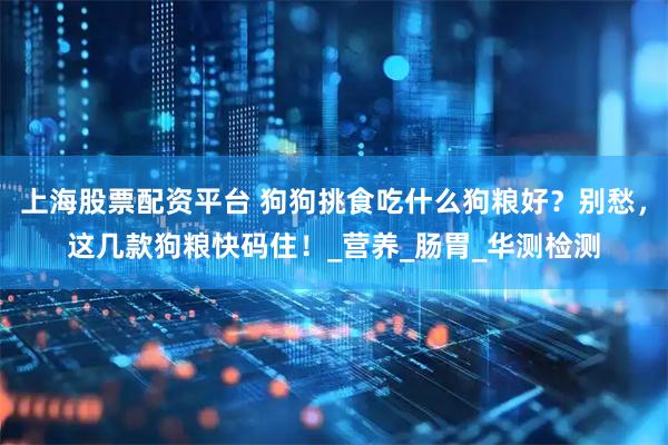 上海股票配资平台 狗狗挑食吃什么狗粮好？别愁，这几款狗粮快码住！_营养_肠胃_华测检测